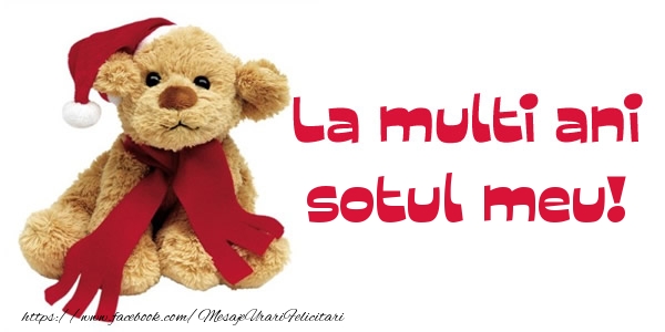 Felicitari de la multi ani pentru Sot - La multi ani sotul meu!