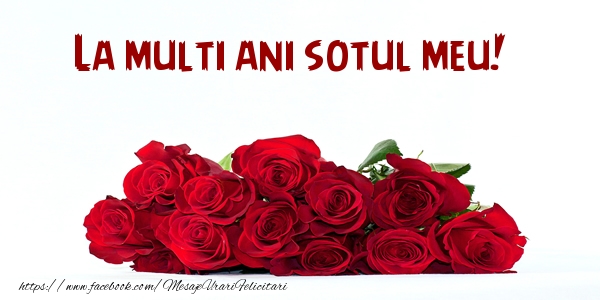 Felicitari de la multi ani pentru Sot - La multi ani sotul meu!