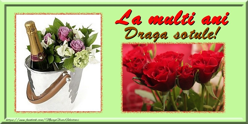 Felicitari de la multi ani pentru Sot - La multi ani draga sotule