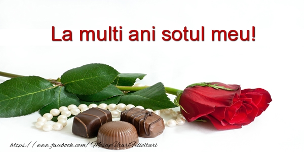 Felicitari de la multi ani pentru Sot - La multi ani sotul meu!