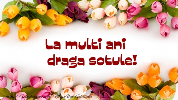Felicitari de la multi ani pentru Sot - La multi ani draga sotule!
