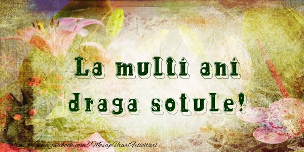 Felicitari de la multi ani pentru Sot - La multi ani draga sotule!
