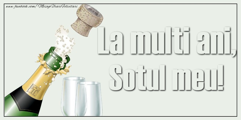 Felicitari de la multi ani pentru Sot - La multi ani, sotul meu!