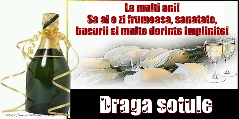 Felicitari de la multi ani pentru Sot - Draga sotule La multi ani! Sa ai o zi frumoasa, sanatate, bucurii si multe dorinte implinite!