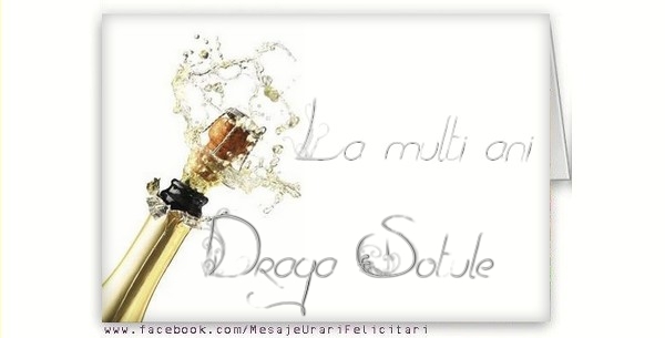 Felicitari de la multi ani pentru Sot - La multi ani, draga sotule