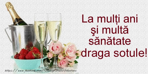 Felicitari de la multi ani pentru Sot - La multi ani si multa sanatate draga sotule!