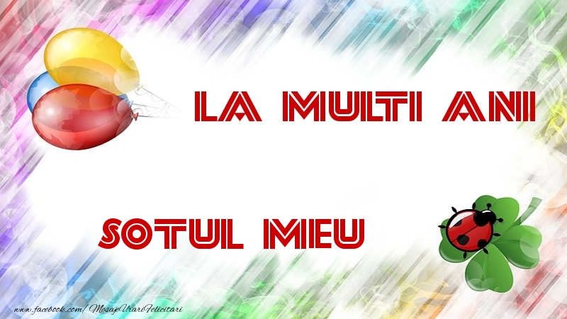 Felicitari de la multi ani pentru Sot - La multi ani sotul meu