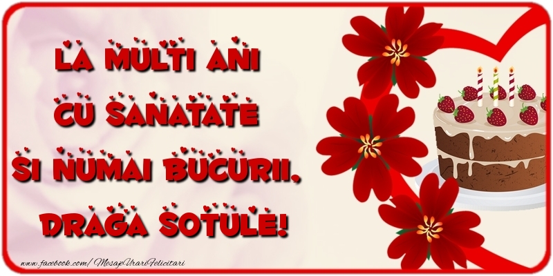 Felicitari de la multi ani pentru Sot - La multi ani cu sanatate si numai bucurii, draga sotule