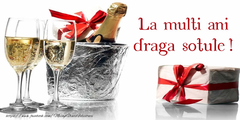 Felicitari de la multi ani pentru Sot - La multi ani draga sotule!