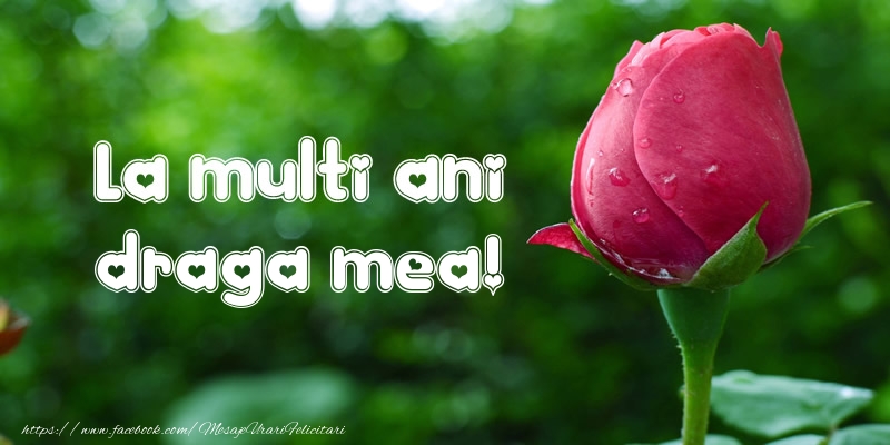 Felicitari de la multi ani pentru Sotie - La multi ani draga mea!