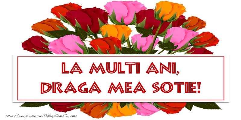 Felicitari de la multi ani pentru Sotie - La multi ani, draga mea sotie!