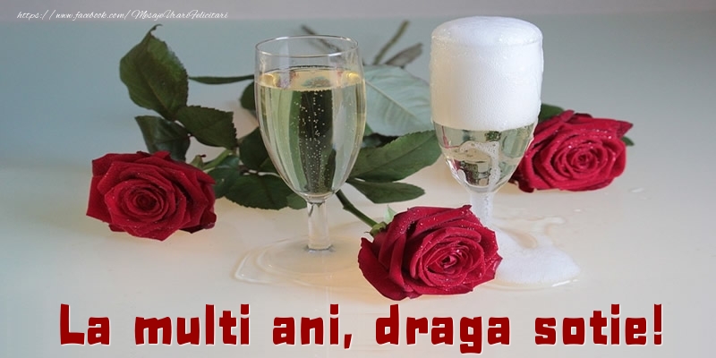 Felicitari de la multi ani pentru Sotie - La multi ani, draga sotie!