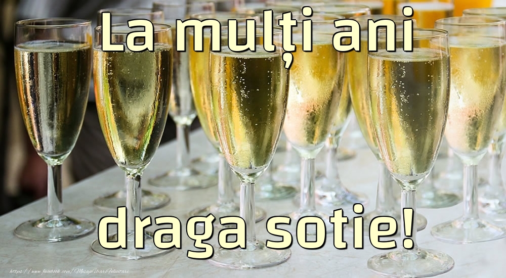 Felicitari de la multi ani pentru Sotie - La mulți ani draga sotie!