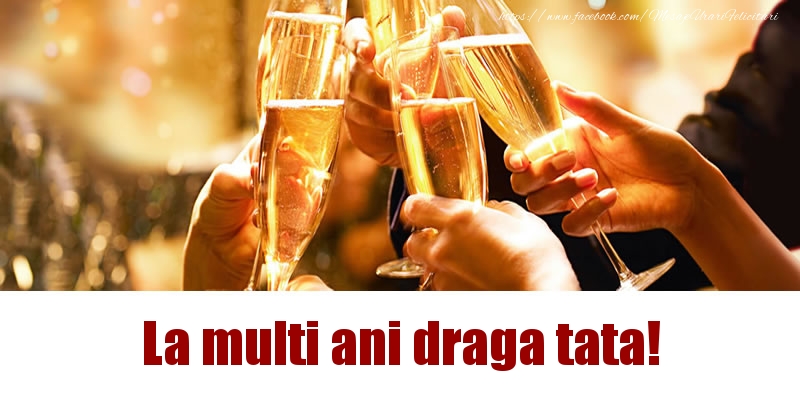 Felicitari de la multi ani pentru Tata - La multi ani draga tata!