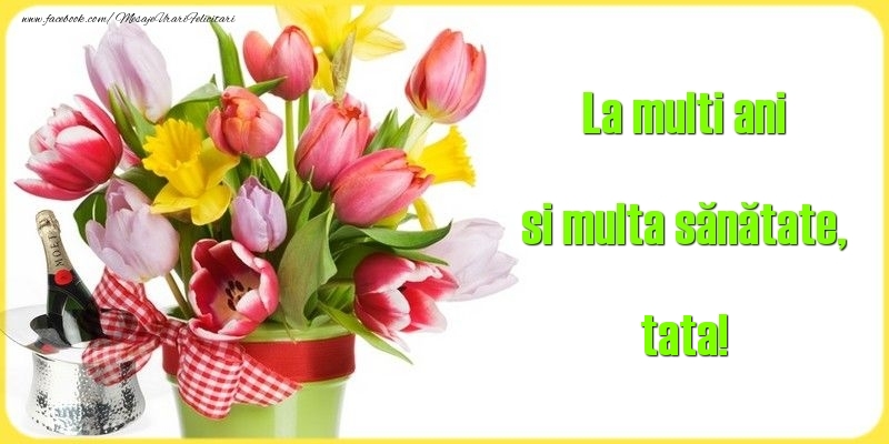 Felicitari de la multi ani pentru Tata - La multi ani si multa sănătate, tata