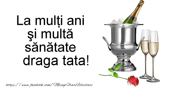 Felicitari de la multi ani pentru Tata - La multi ani si multa sanatate tata!
