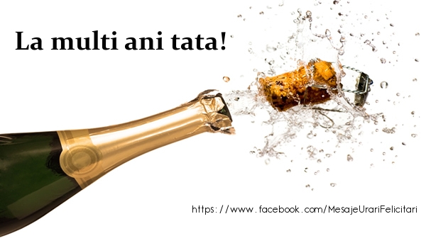 Felicitari de la multi ani pentru Tata - La multi ani tata!