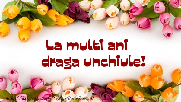 Felicitari de la multi ani pentru Unchi - La multi ani draga unchiule!