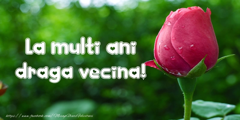 Felicitari de la multi ani pentru Vecina - La multi ani draga vecina!