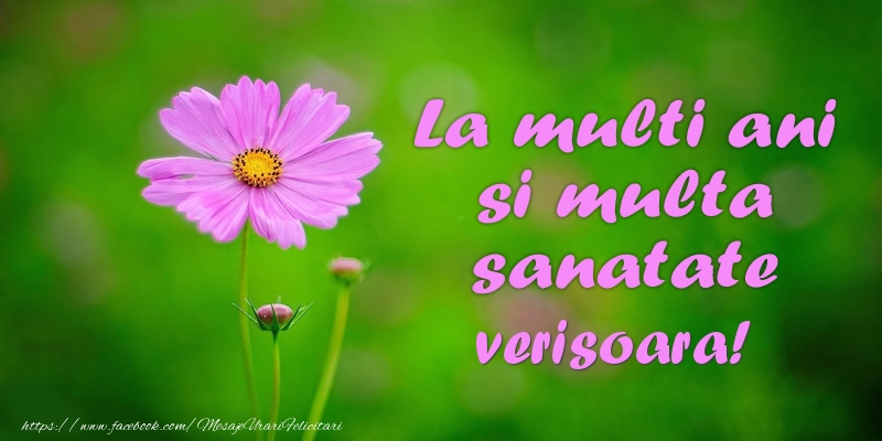 Felicitari de la multi ani pentru Verisoara - La multi ani si multa sanatate verisoara!