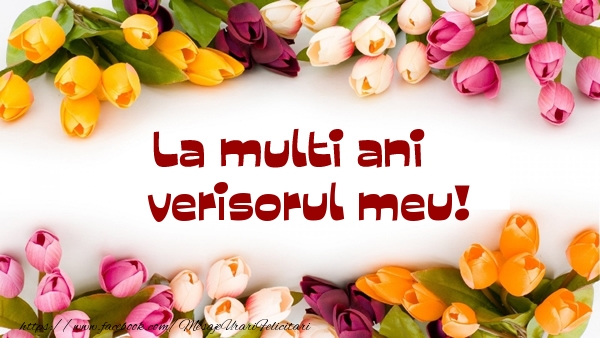Felicitari de la multi ani pentru Verisor - La multi ani verisorul meu!