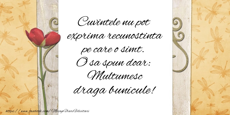 Felicitari de multumire pentru Bunic - Cuvintele nu pot exprima recunostinta pe care o simt. O sa spun doar:  Multumesc draga bunicule!