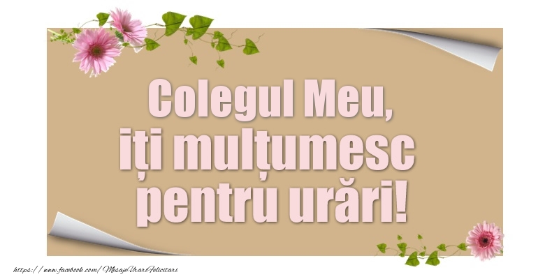 Felicitari de multumire pentru Coleg - Colegul meu, iți mulțumesc pentru urări!