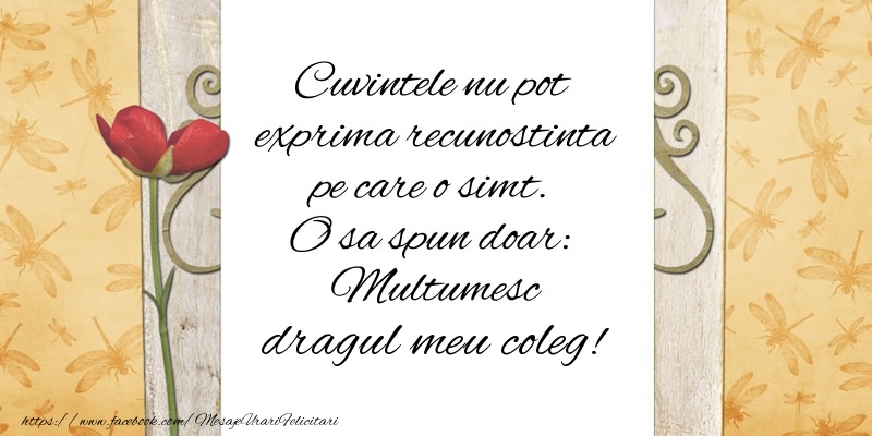Multumire Cuvintele nu pot exprima recunostinta pe care o simt. O sa spun doar:  Multumesc dragul meu coleg!