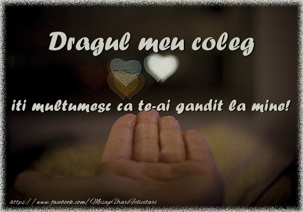 Felicitari de multumire pentru Coleg - Dragul meu coleg iti multumesc ca te-ai gandit la mine!