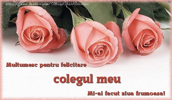 Felicitari de multumire pentru Coleg - Multumesc pentru felicitare colegul meu! Mi-ai facut ziua frumoasa!