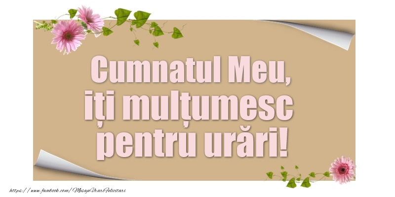 Felicitari de multumire pentru Cumnat - Cumnatul meu, iți mulțumesc pentru urări!