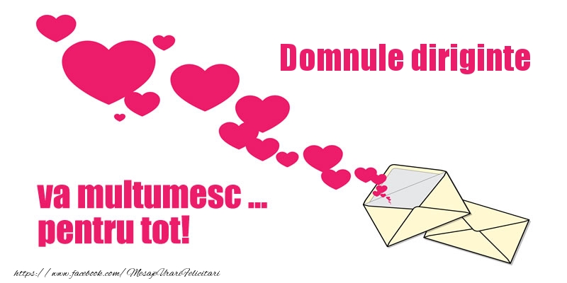 Felicitari de multumire pentru Diriginte - Domnule diriginte va multumesc ... pentru tot!