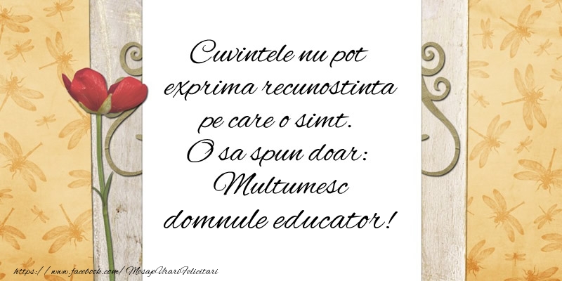Felicitari de multumire pentru Educator - Cuvintele nu pot exprima recunostinta pe care o simt. O sa spun doar:  Multumesc domnule educator!