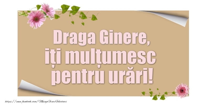 Felicitari de multumire pentru Ginere - Draga ginere, iți mulțumesc pentru urări!