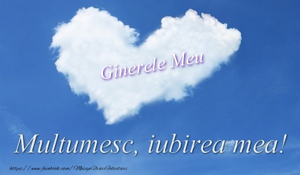 Felicitari de multumire pentru Ginere - Ginerele meu. Multumesc, iubirea mea!