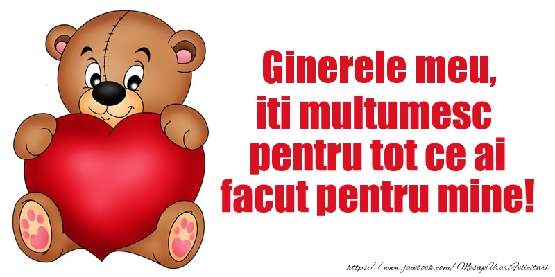 Felicitari de multumire pentru Ginere - Ginerele meu iti multumesc pentru tot ce ai facut pentru mine!