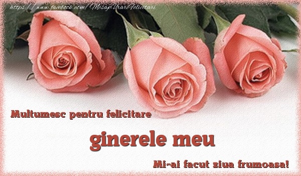 Felicitari de multumire pentru Ginere - Multumesc pentru felicitare ginerele meu! Mi-ai facut ziua frumoasa!