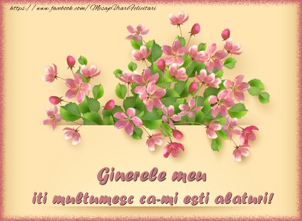 Felicitari de multumire pentru Ginere - Ginerele meu, iti multumesc ca-mi esti alaturi!