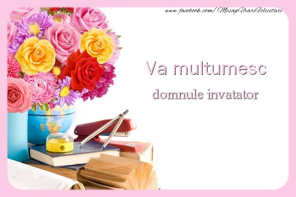 Felicitari de multumire pentru Invatator - Va multumesc domnule invatator