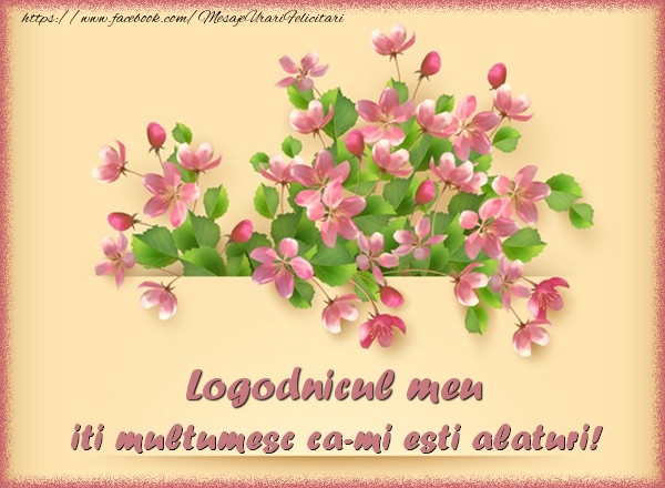 Felicitari de multumire pentru Logodnic - Logodnicul meu, iti multumesc ca-mi esti alaturi!