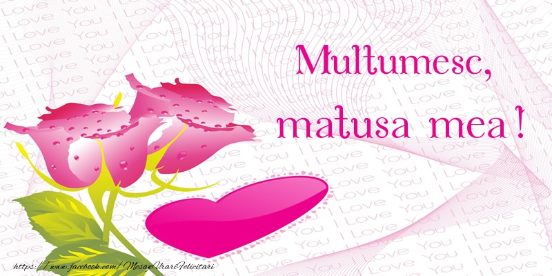 Felicitari de multumire pentru Matusa - Multumesc, matusa mea!
