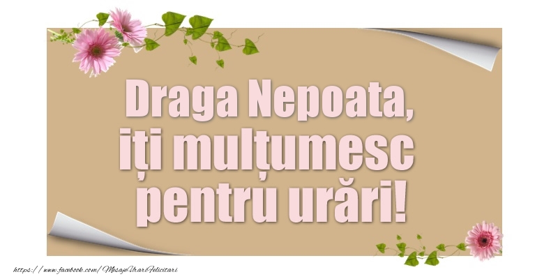 Felicitari de multumire pentru Nepoata - Draga nepoata, iți mulțumesc pentru urări!