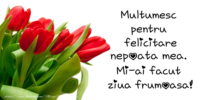 Felicitari de multumire pentru Nepoata - Multumesc pentru  felicitare nepoata mea! Mi-ai facut  ziua frumoasa!