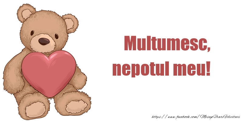 Felicitari de multumire pentru Nepot - Multumesc, nepotul meu!