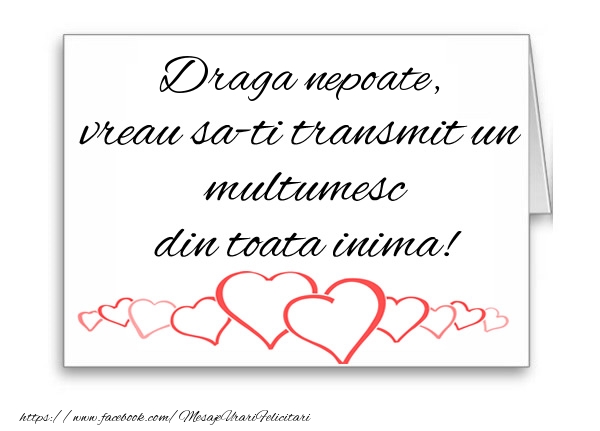Felicitari de multumire pentru Nepot - Draga nepoate, vreau sa-ti transmit un multumesc din toata inima!