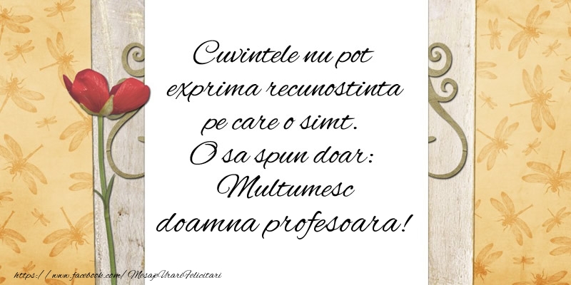 Felicitari de multumire pentru Profesoara - Cuvintele nu pot exprima recunostinta pe care o simt. O sa spun doar:  Multumesc doamna profesoara!