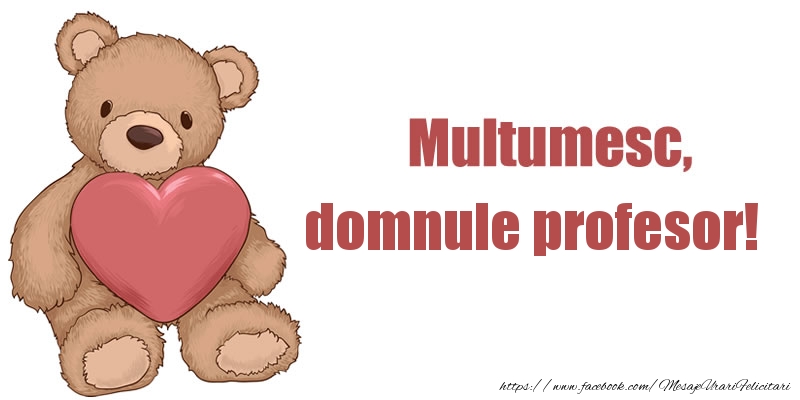 Felicitari de multumire pentru Profesor - Multumesc, domnule profesor!