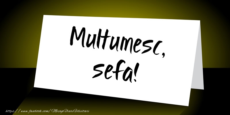 Felicitari de multumire pentru Sefa - Multumesc, sefa!