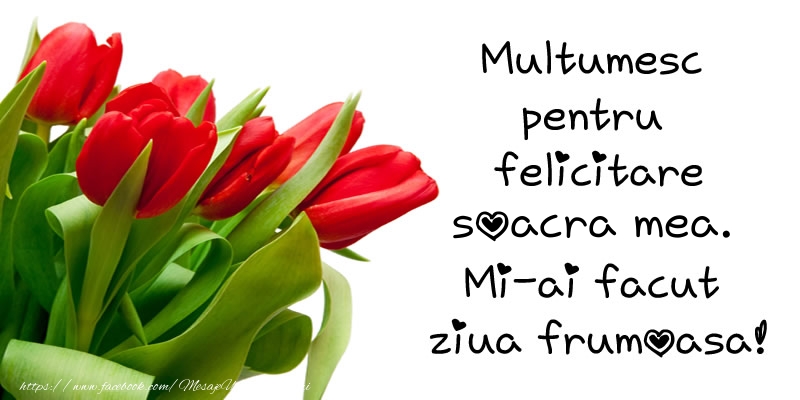 Felicitari de multumire pentru Soacra - Multumesc pentru  felicitare soacra mea! Mi-ai facut  ziua frumoasa!