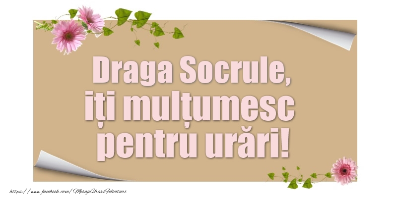 Felicitari de multumire pentru Socru - Draga socrule, iți mulțumesc pentru urări!